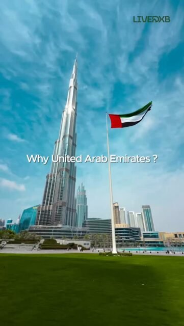 This is why Dubai continues to attract people from all over the world — entrepreneurs, investors, and dreamers.

Because Dubai isn’t just growing.
It’s building the future.

LiveDXB
Real perspective on Dubai real estate.

Comment below:
What do you think makes Dubai different from other global cities?

#LiveDXB
#Dubai
#DubaiRealEstate
#DubaiProperty
#InvestInDubai
DubaiLife
DubaiGrowth
DubaiBusiness
DXB
UAE